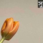 সুহাদা নামের অর্থ কি? Suhada Name meaning in Bengali