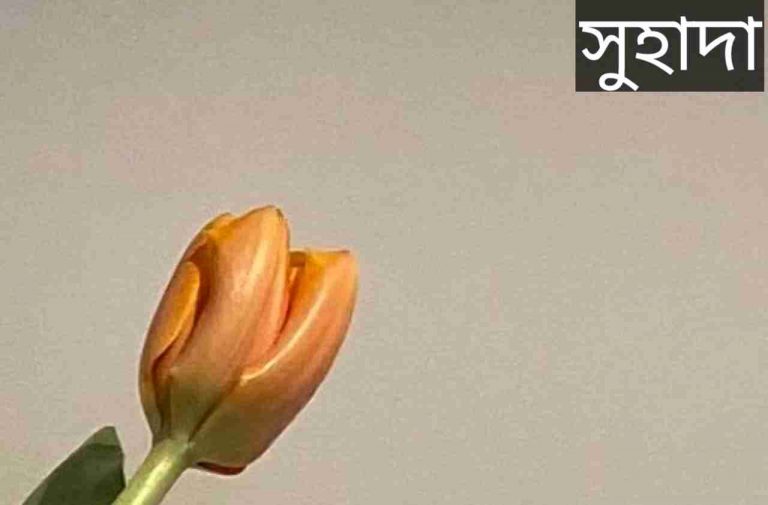 সুহাদা নামের অর্থ কি? Suhada Name meaning in Bengali