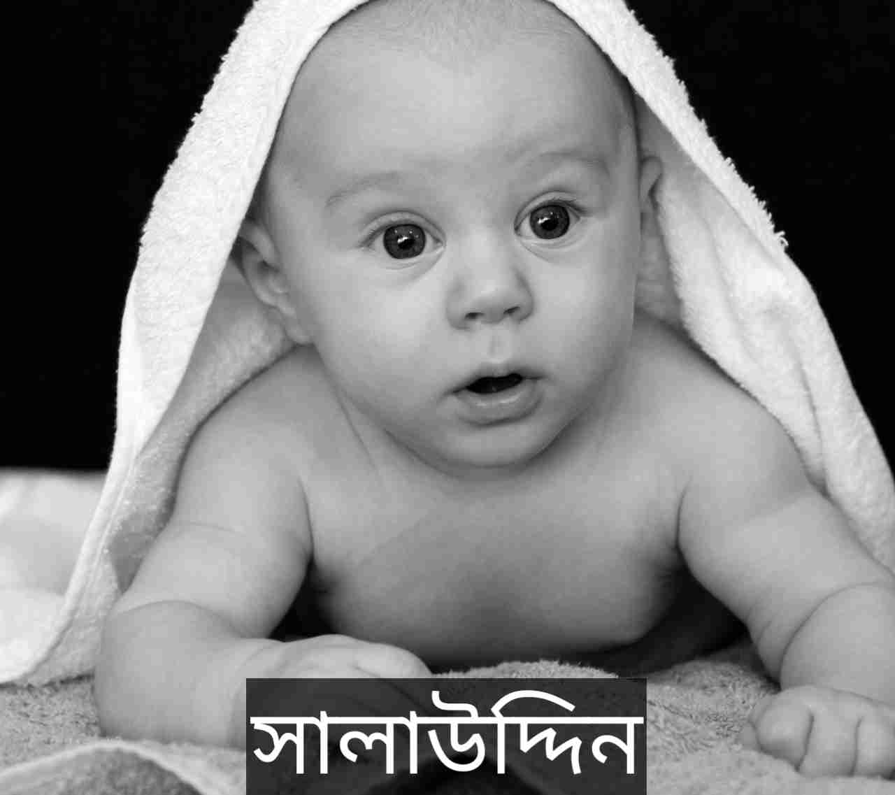 সালাউদ্দিন নামের অর্থ কি? Salauddin Name meaning in Bengali