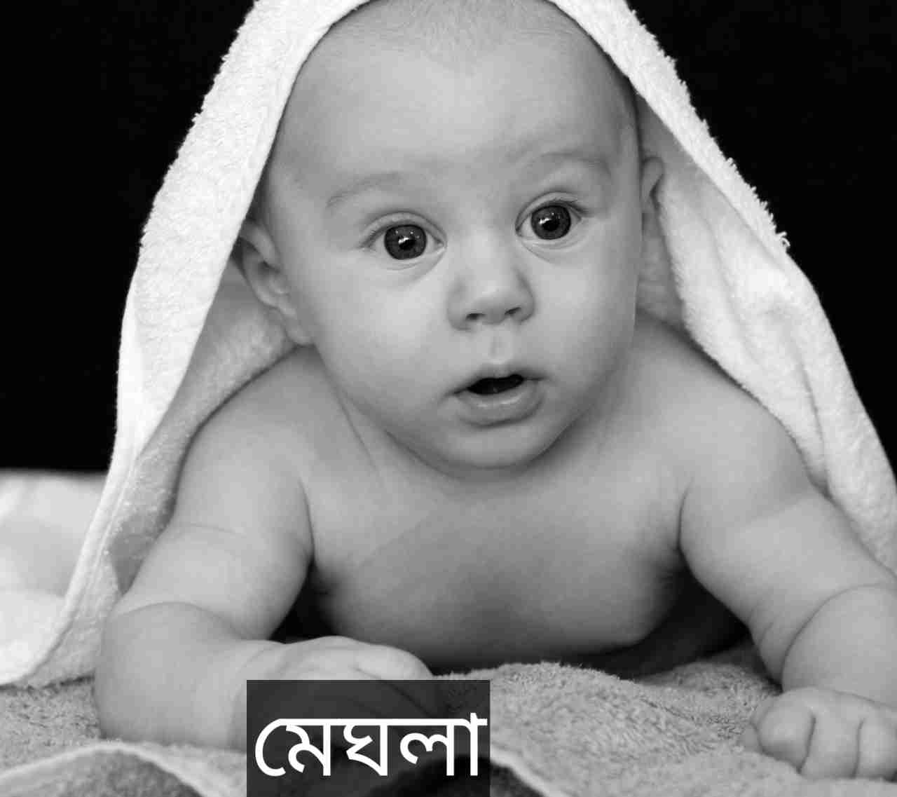 মেঘলা নামের অর্থ কি? Meghla Name meaning in Bengali