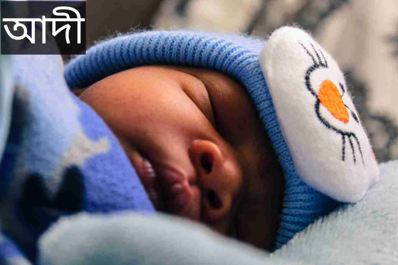 আদী নামের অর্থ কি? Adi Name meaning in Bengali