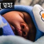 আবু ত্বহা নামের অর্থ কি? Abu toha Name meaning in Bengali