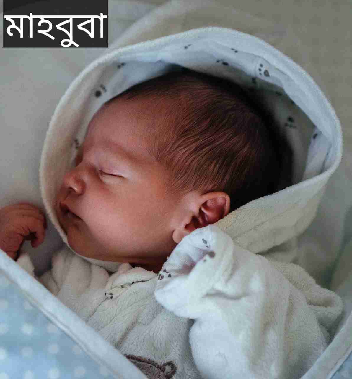 মাহবুবা নামের অর্থ কি? Mahbuba Name meaning in Bengali