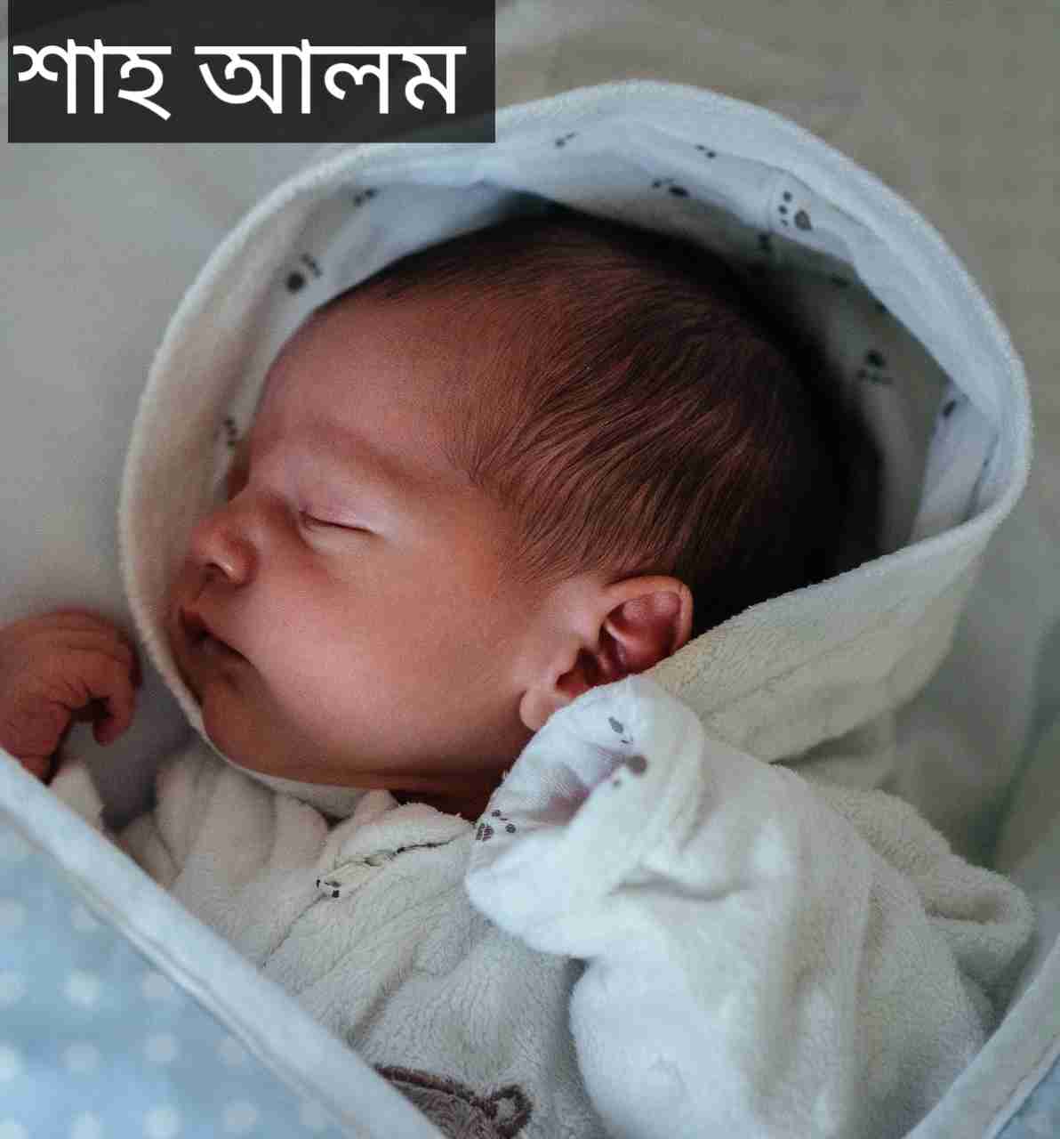 শাহ আলম নামের অর্থ কি? Shah Alom Name meaning in Bengali