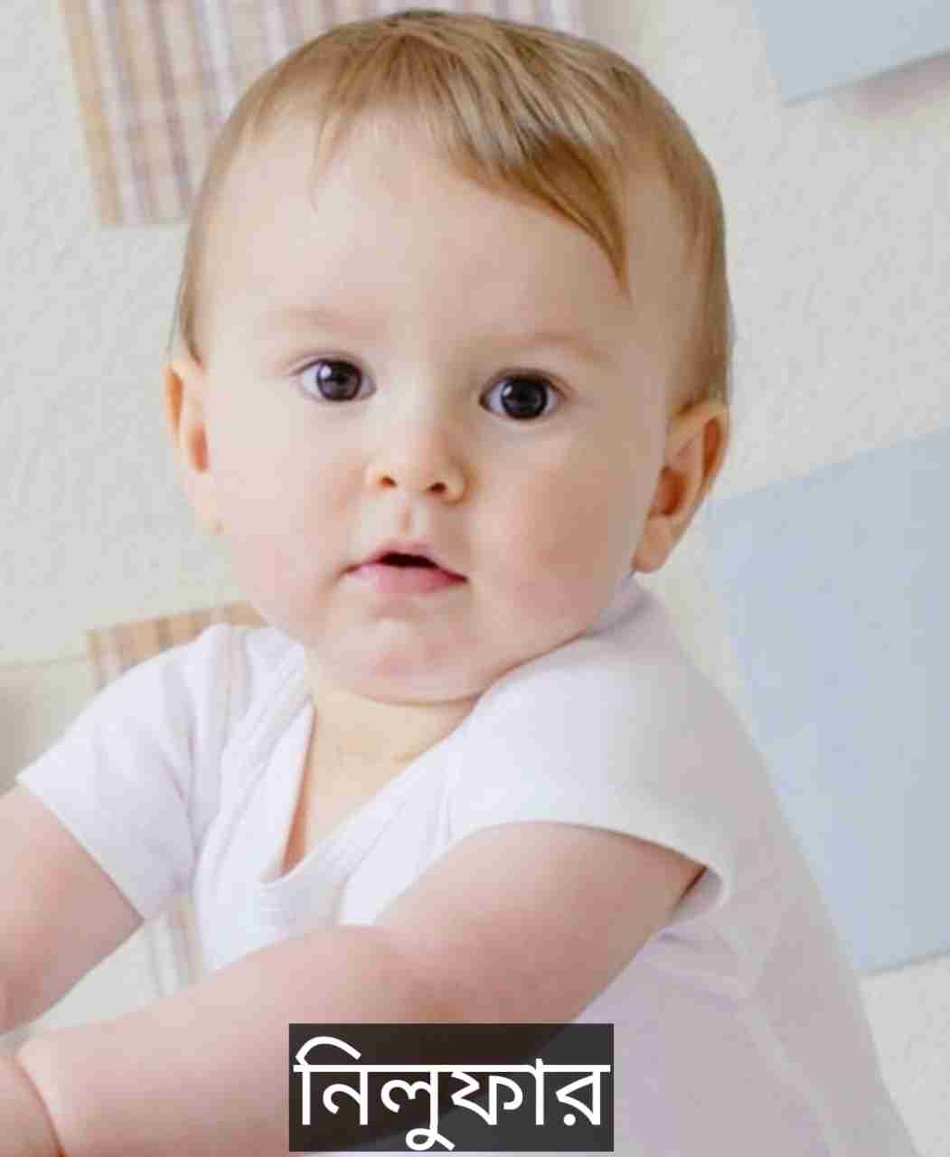 নিলুফার নামের অর্থ কি? Nilufar Name meaning in Bengali