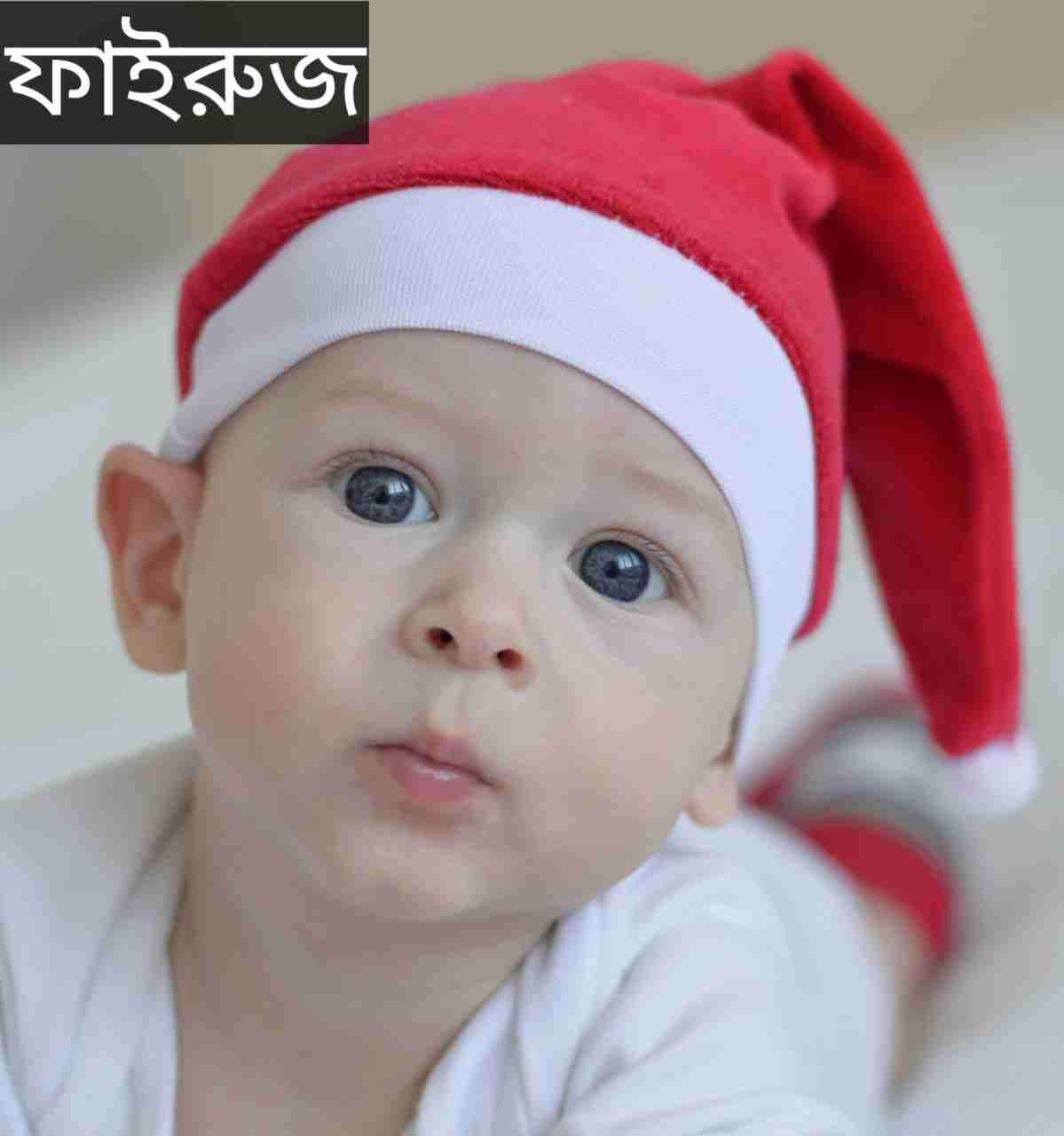 ফাইরুজ নামের অর্থ কি? Fairuz Name meaning in Bengali