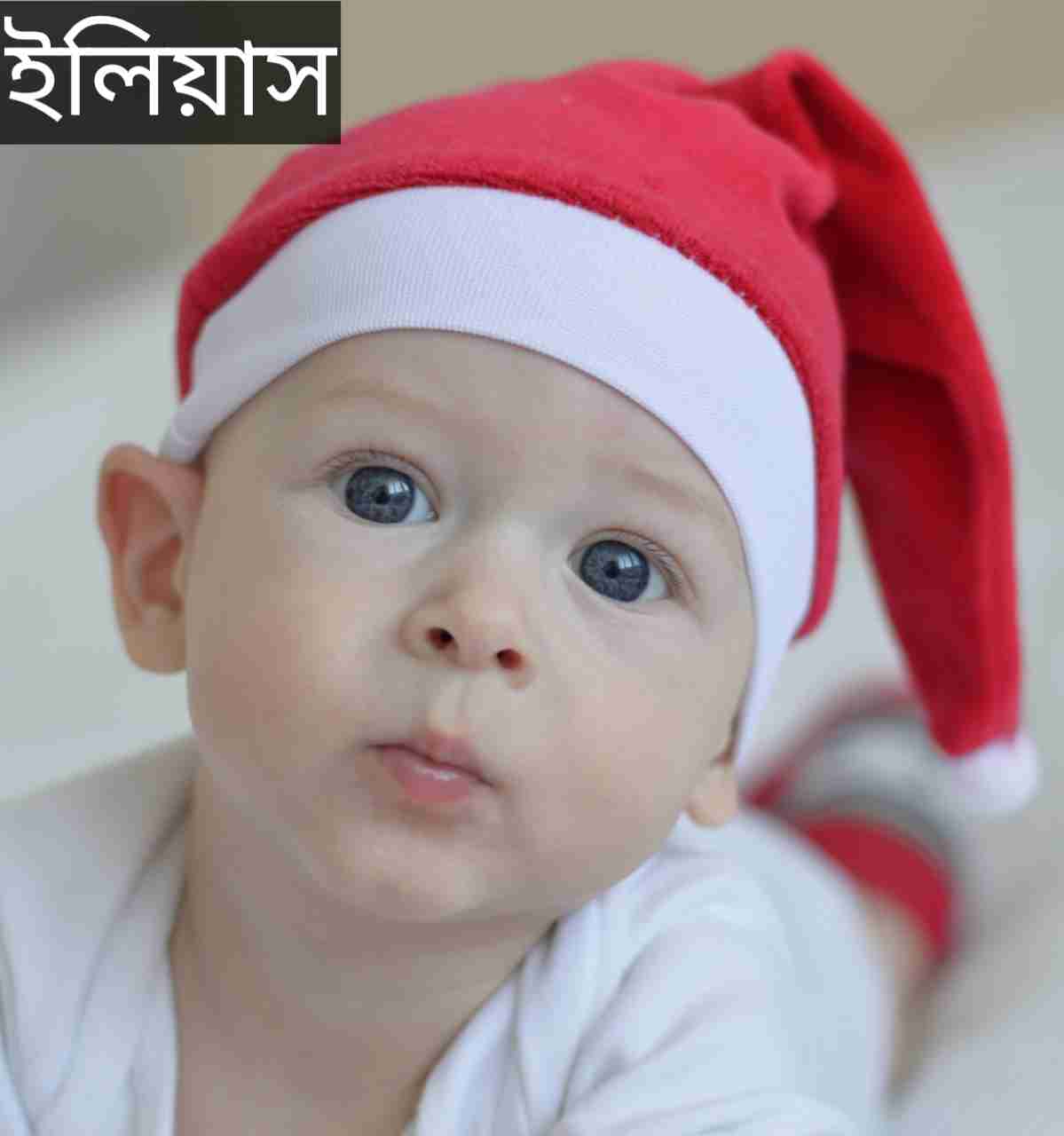 ইলিয়াস নামের অর্থ কি? Elias Name meaning in Bengali
