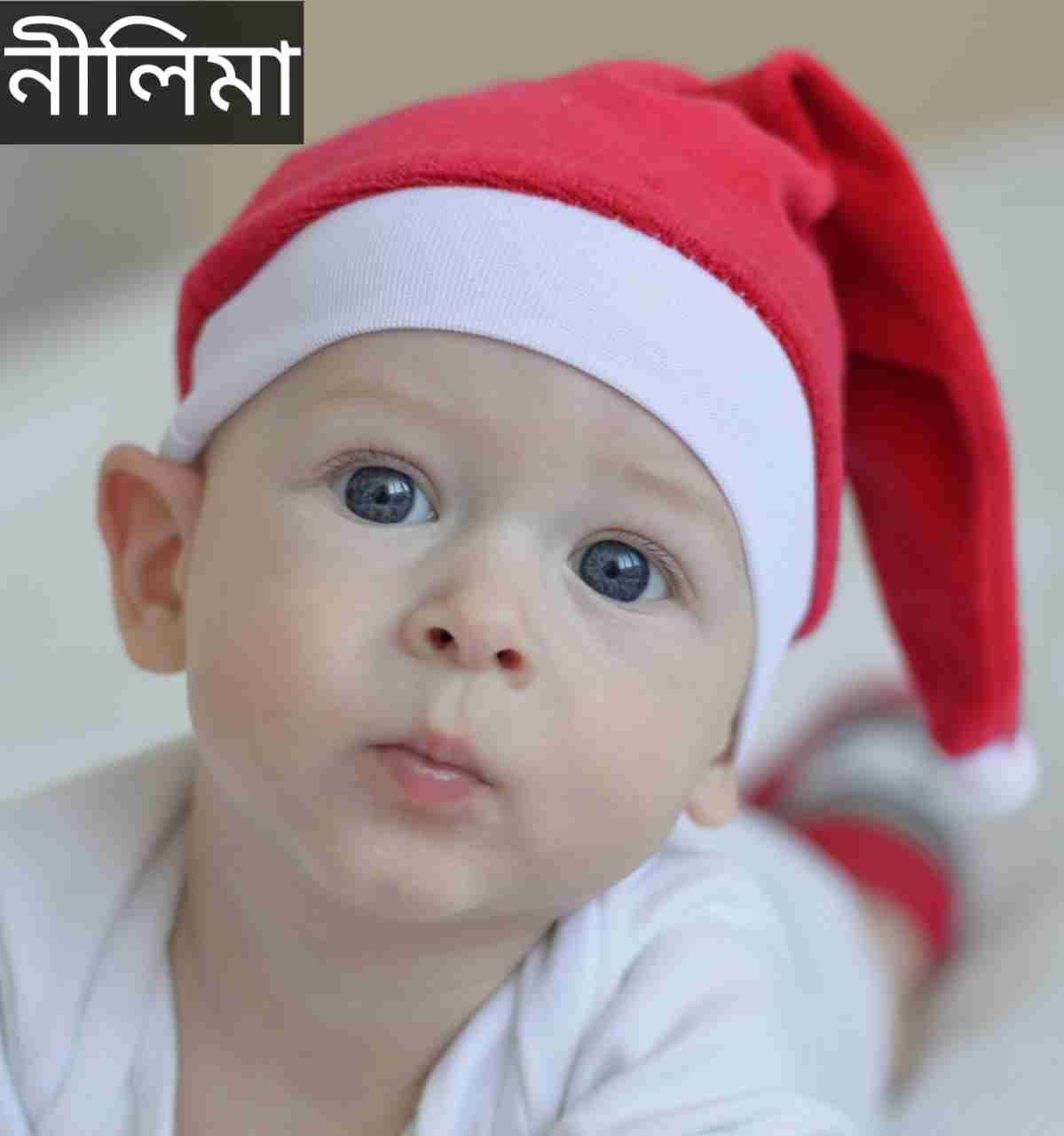 নীলিমা নামের অর্থ কি? Nilima Name meaning in Bengali