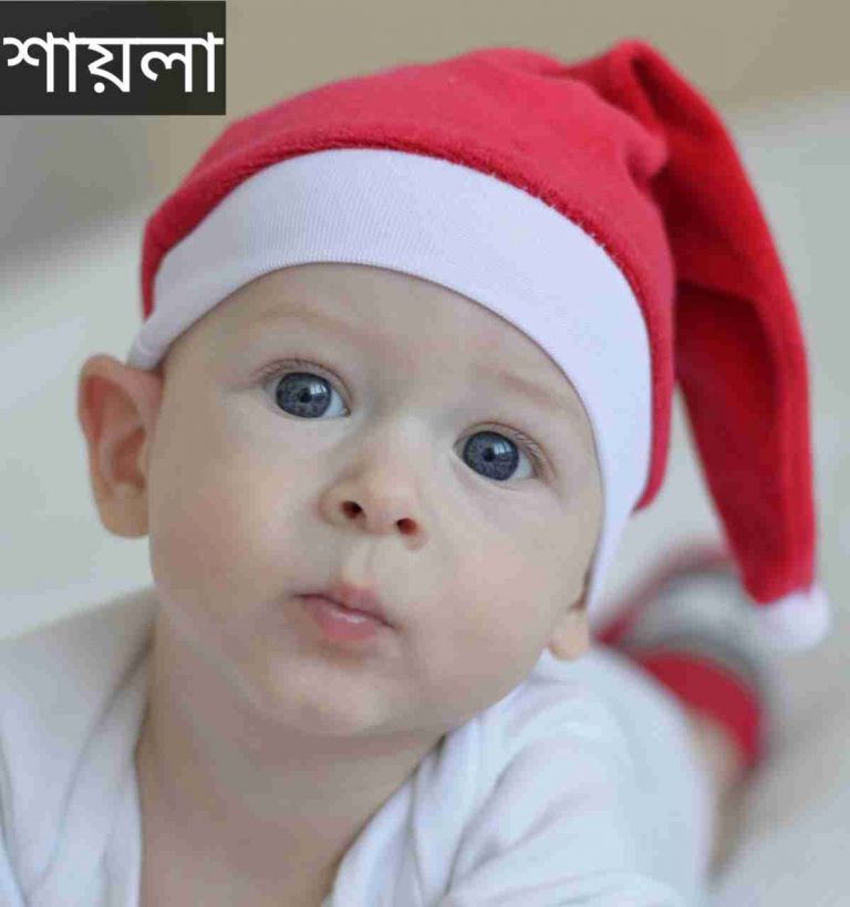 শায়লা নামের অর্থ কি? Shayla Name meaning in Bengali