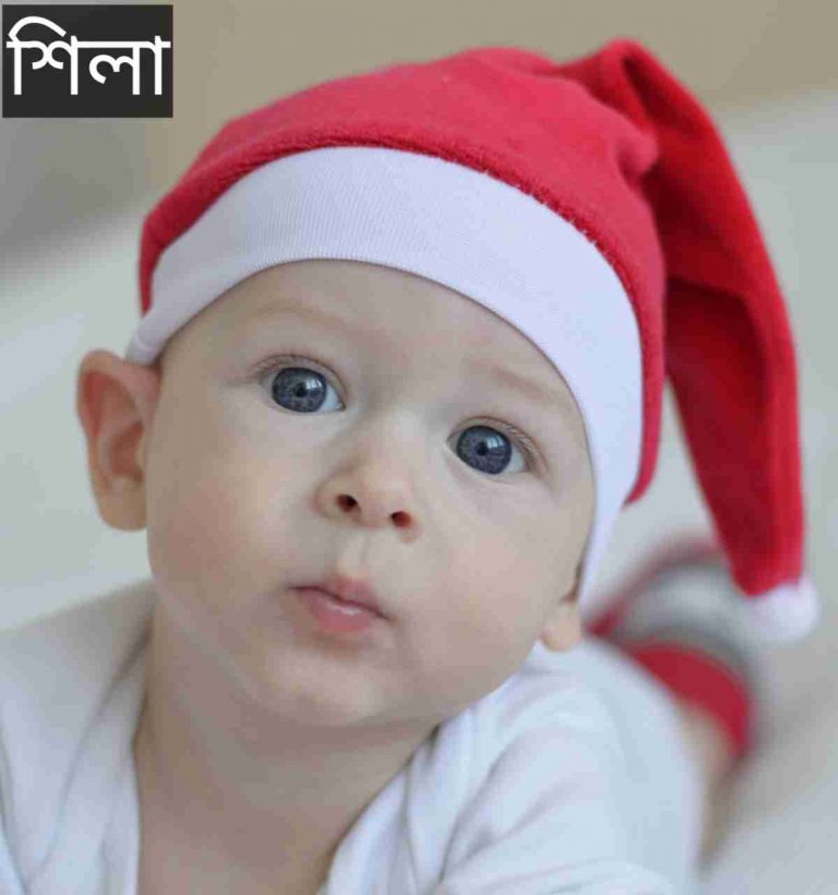 শিলা নামের অর্থ কি? Shila Name meaning in Bengali