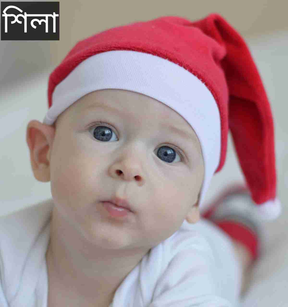 শিলা নামের অর্থ কি? Shila Name meaning in Bengali