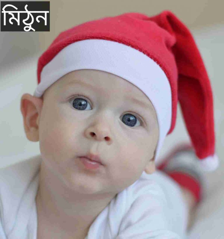 মিঠুন নামের অর্থ কি? Mithun Name meaning in Bengali