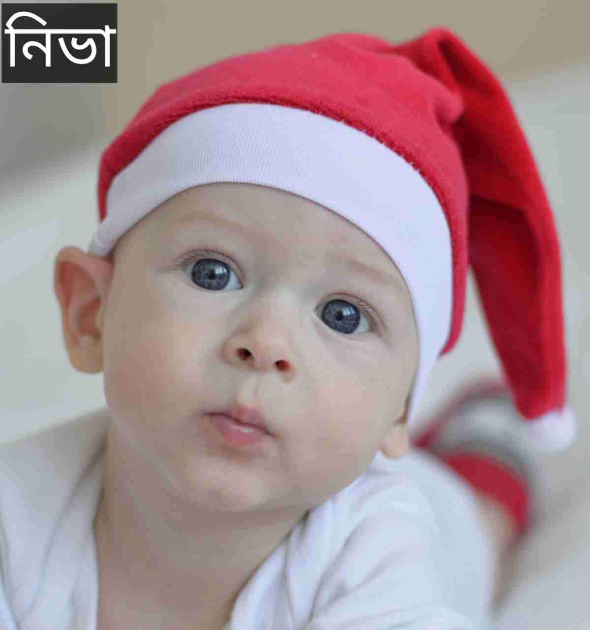নিভা নামের অর্থ কি? Niva Name meaning in Bengali