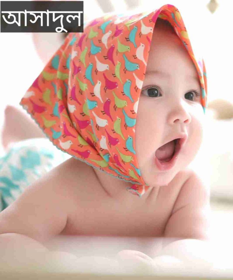 আসাদুল নামের অর্থ কি? Ashadul Name meaning in Bengali