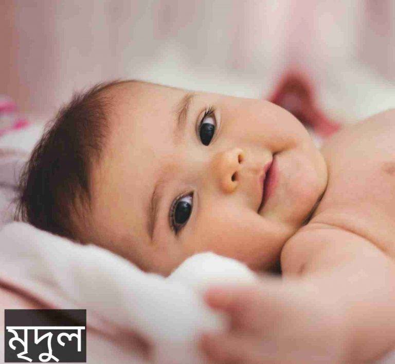 মৃদুল নামের অর্থ কি? Mridul Name meaning in Bengali