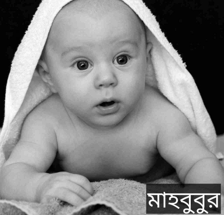 মাহবুবুর নামের অর্থ কি? Mahbubur Name meaning in Bengali