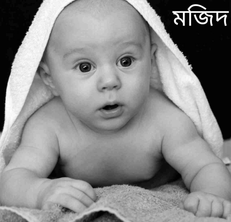 মজিদ নামের অর্থ কি? Mojid Name meaning in Bengali