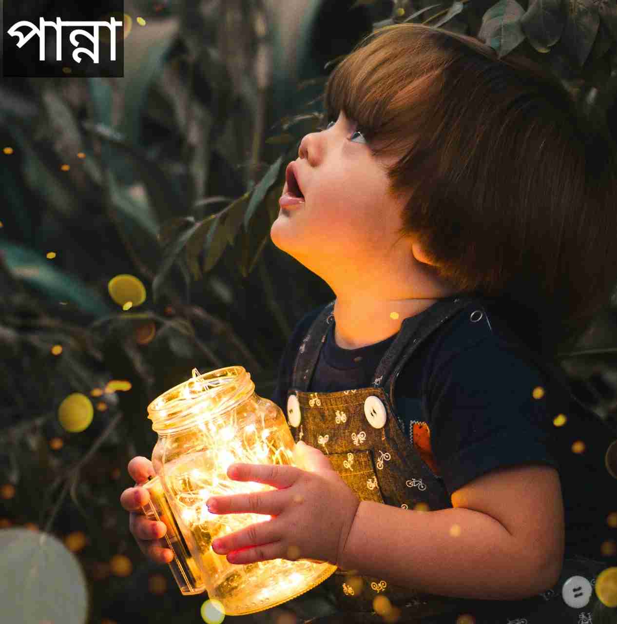 পান্না নামের অর্থ কি? Panna Name meaning in Bengali