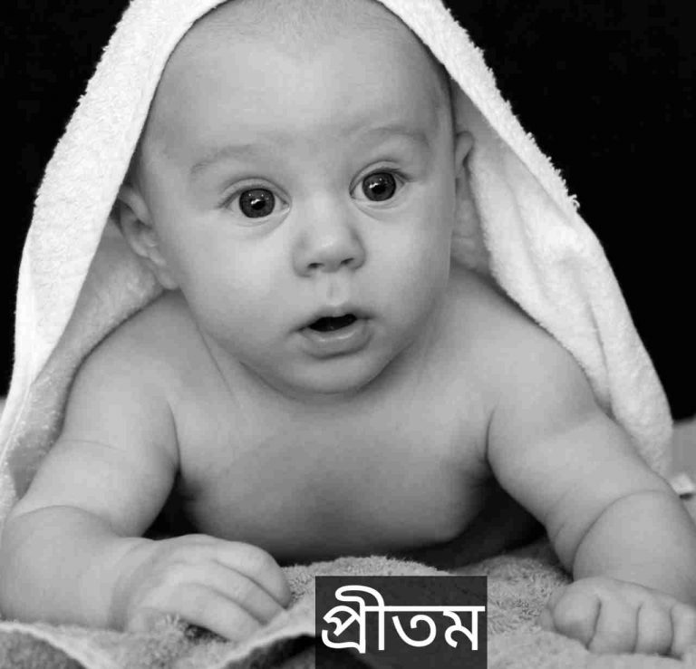 প্রীতম নামের অর্থ কি? Pritam Name meaning in Bengali