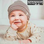 মাহমুদুল নামের অর্থ কি? Mahmudul Name meaning in Bengali