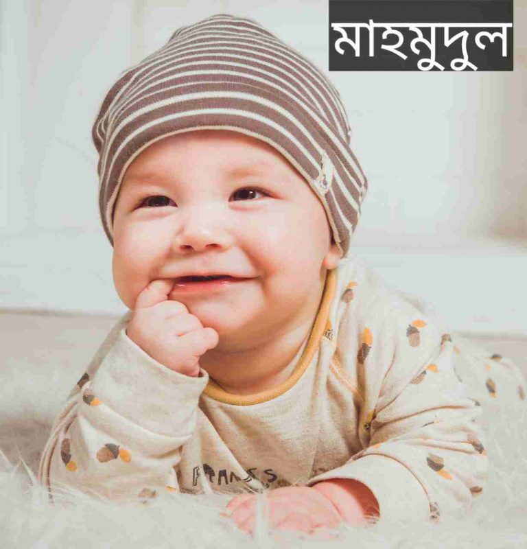 মাহমুদুল নামের অর্থ কি? Mahmudul Name meaning in Bengali