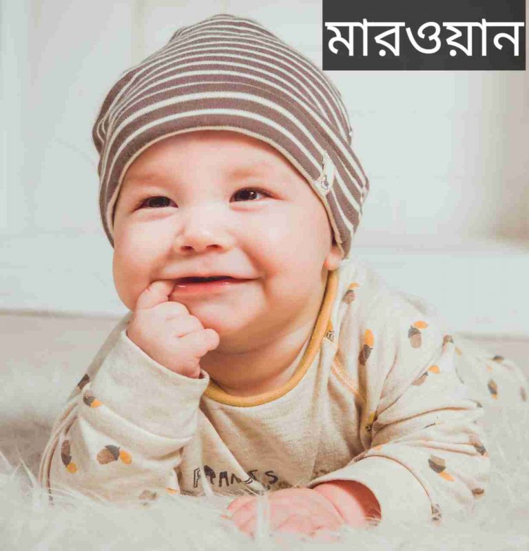 মারওয়ান নামের অর্থ কি? Marwan Name meaning in Bengali