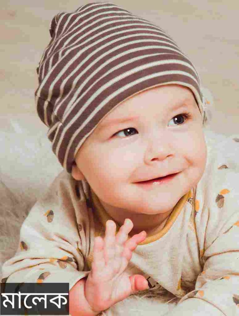 মালেক নামের অর্থ কি? Malek Name meaning in Bengali