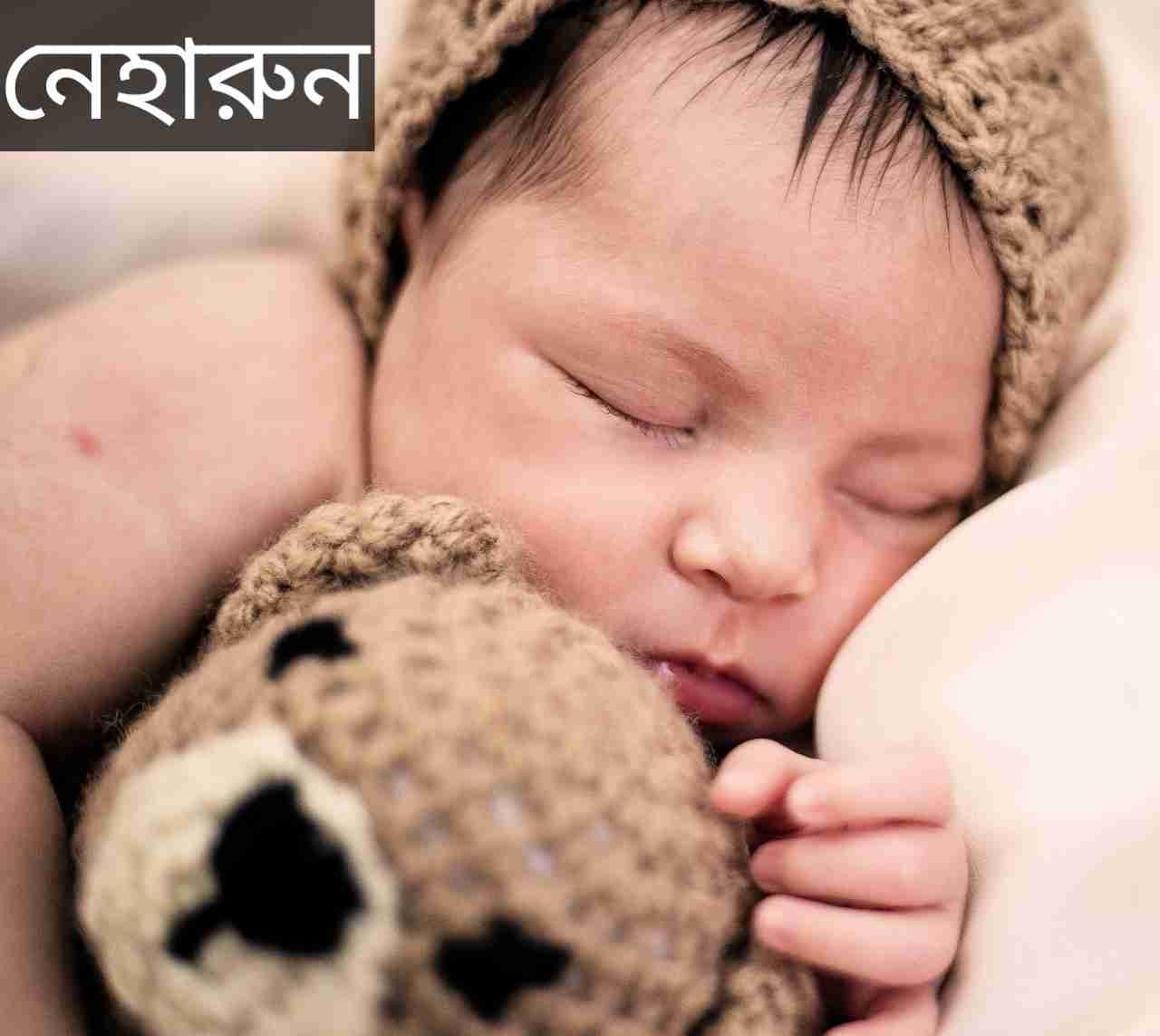 নেহারুন নামের অর্থ কি? Neharun Name meaning in Bengali