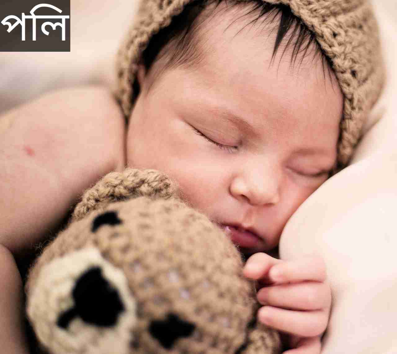 পলি নামের অর্থ কি? Poly Name meaning in Bengali