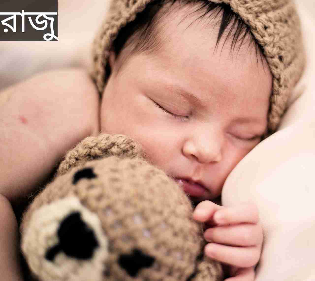 রাজু নামের অর্থ কি? Razu Name meaning in Bengali