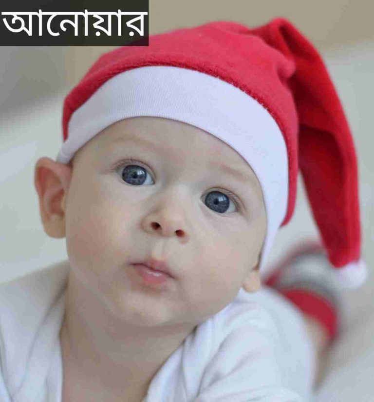 আনোয়ার নামের অর্থ কি? Anowar Name meaning in Bengali