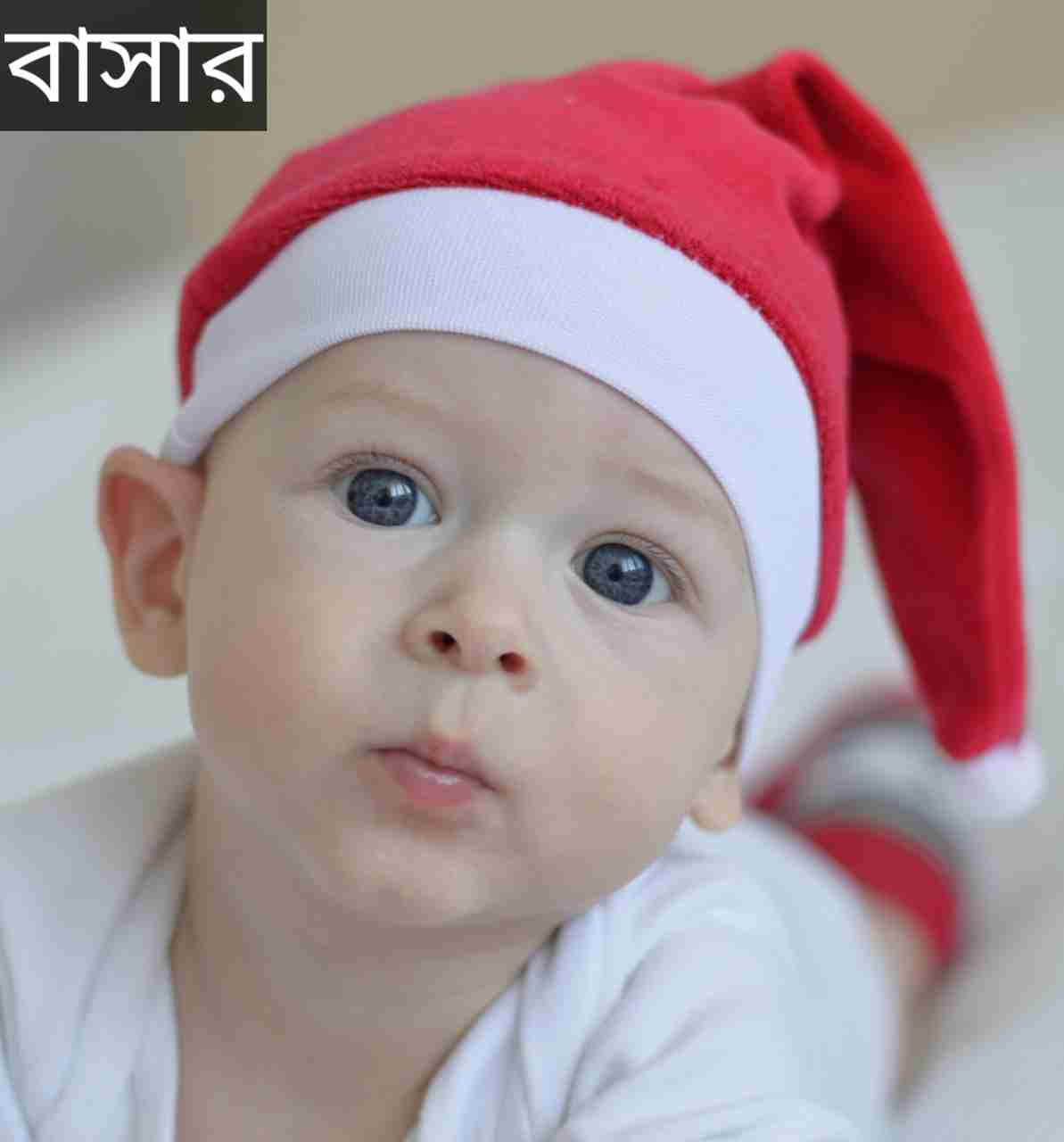 বাসার নামের অর্থ কি? Basar Name meaning in Bengali