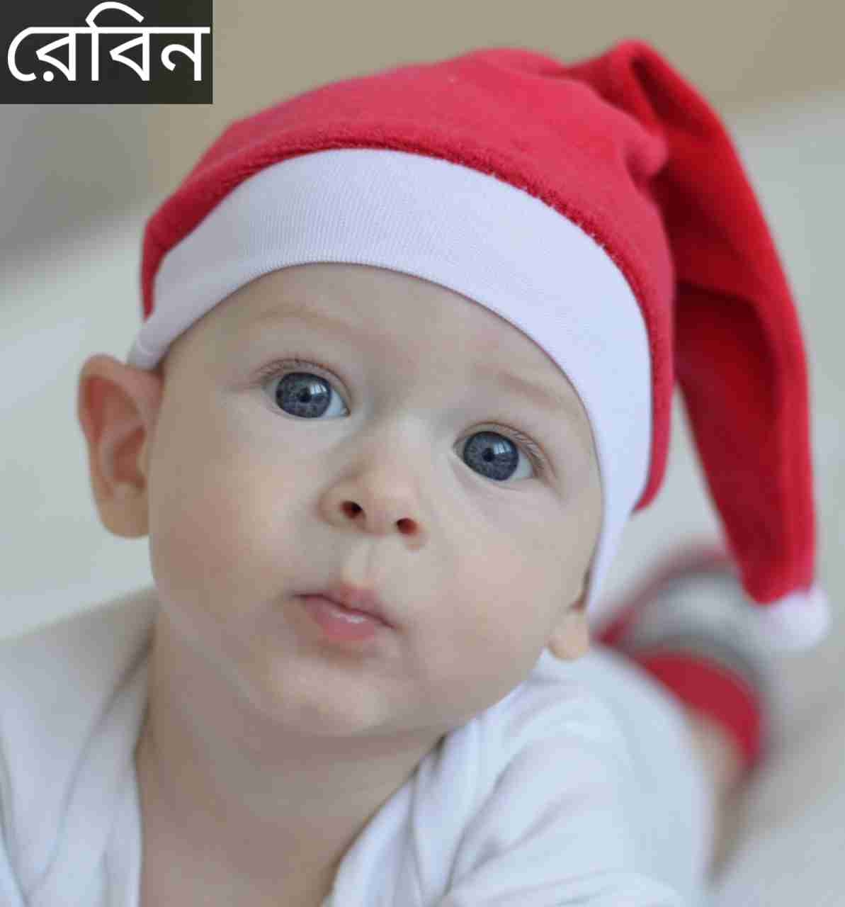 রেবিন নামের অর্থ কি? Rebin Name meaning in Bengali
