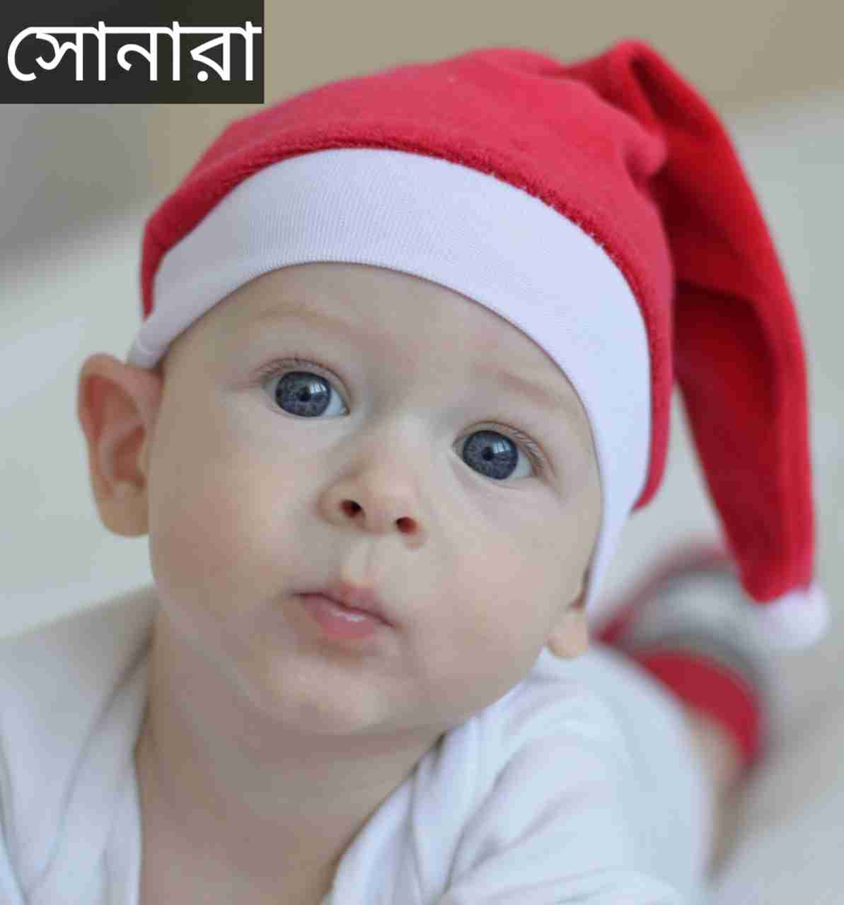 সোনারা নামের অর্থ কি? Sonara Name meaning in Bengali