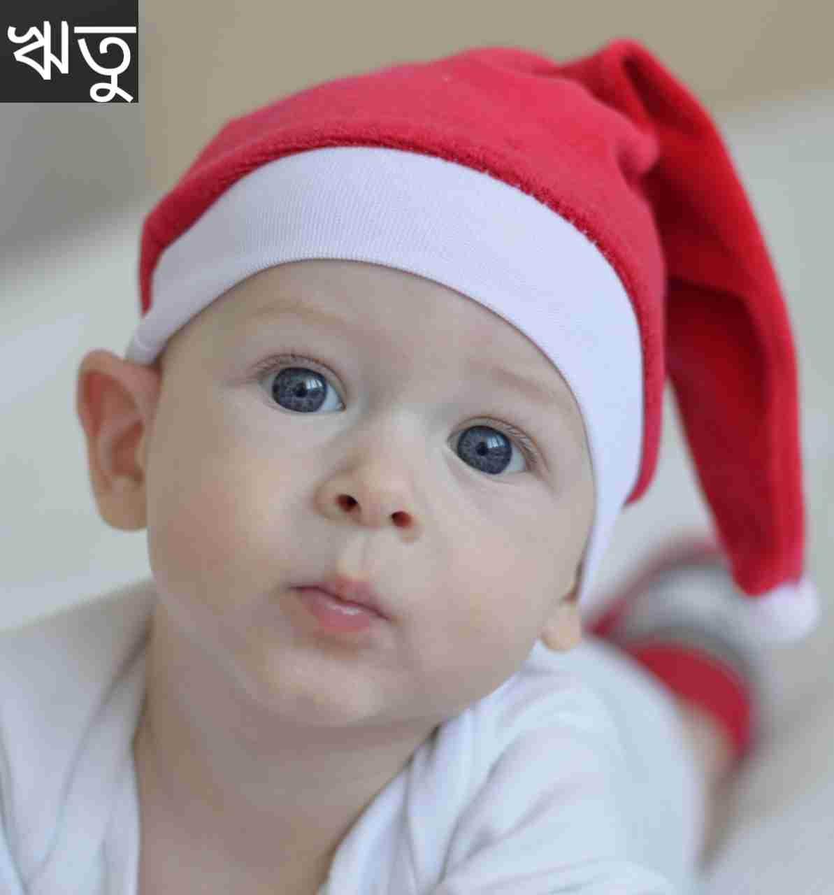 ঋতু নামের অর্থ কি? Ritu Name meaning in Bengali