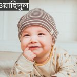 ওয়াহিদুল নামের অর্থ কি? Wahidul Name meaning in Bengali