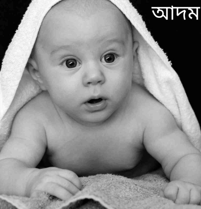 আদম নামের অর্থ কি? Adam Name meaning in Bengali