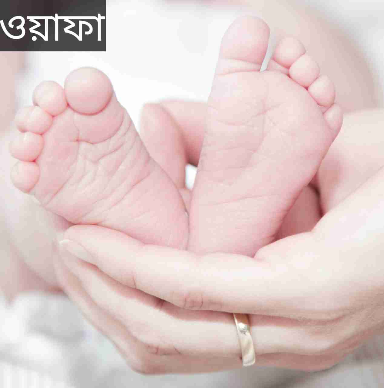 ওয়াফা নামের অর্থ কি? Wafa Name meaning in Bengali