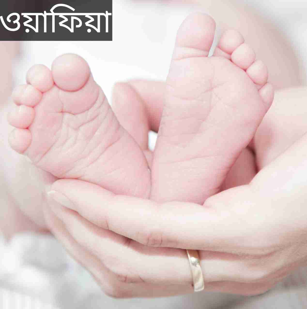 ওয়াফিয়া নামের অর্থ কি? Wafiya Name meaning in Bengali