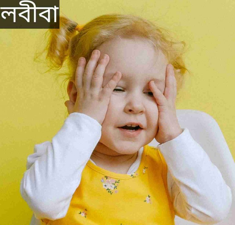 লবীবা নামের অর্থ কি? Labiba Name meaning in Bengali