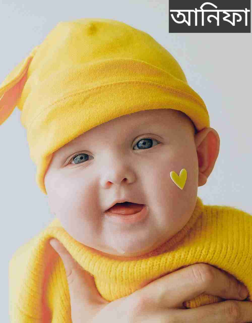 আনিফা নামের অর্থ কি? Anifa Name meaning in Bengali