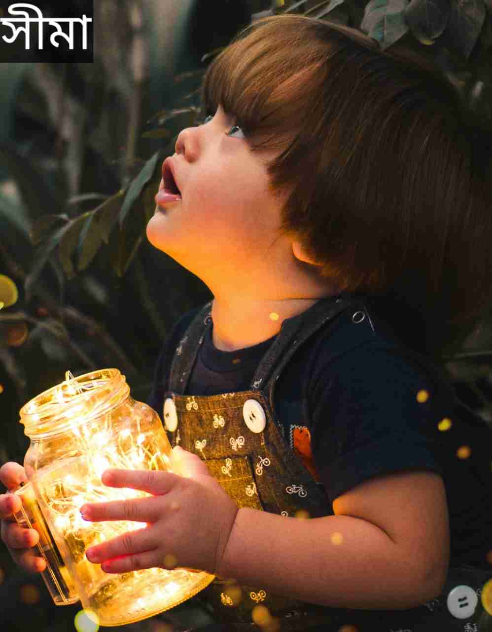 সীমা নামের অর্থ কি? Sima Name meaning in Bengali