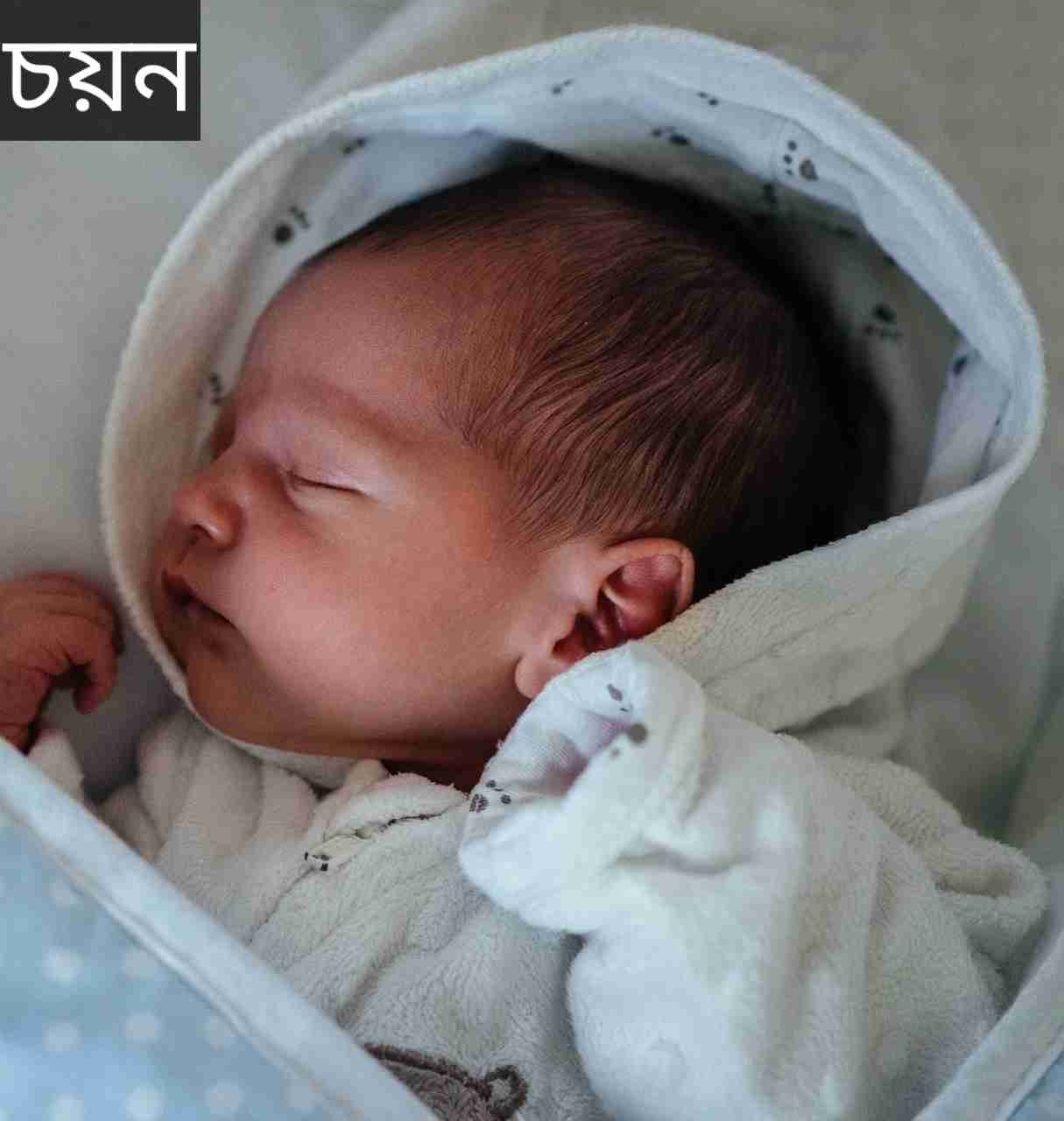 চয়ন নামের অর্থ কি? chayan Name meaning in Bengali