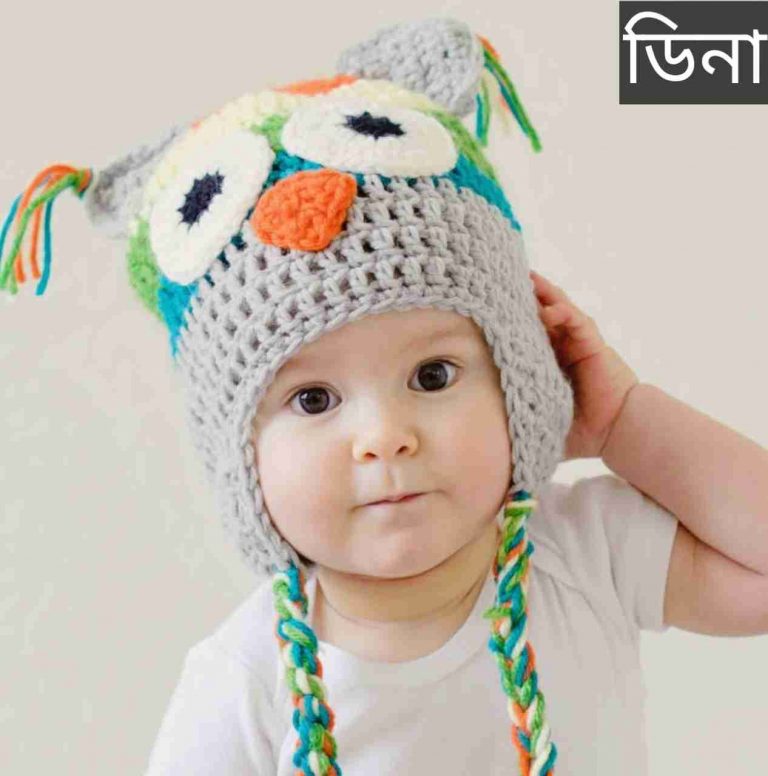 ডিনা নামের অর্থ কি? Dina Name meaning in Bengali