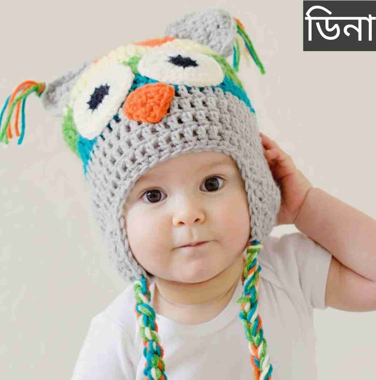 ডিনা নামের অর্থ কি? Dina Name meaning in Bengali