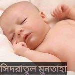 সিদরাতুল মুনতাহা নামের অর্থ কি? Sidratul Muntaha Name meaning in Bengali