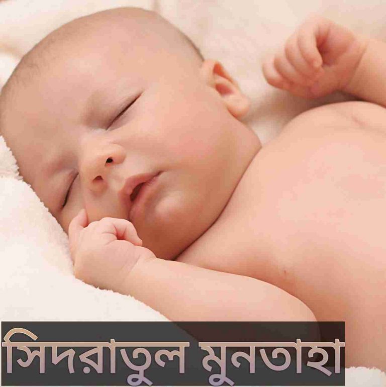 সিদরাতুল মুনতাহা নামের অর্থ কি? Sidratul Muntaha Name meaning in Bengali