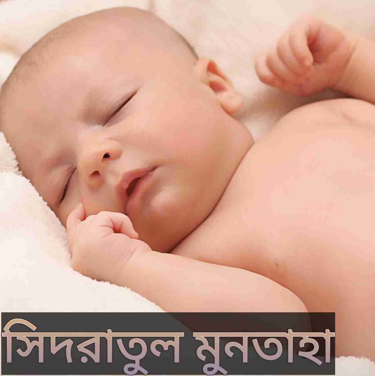 সিদরাতুল মুনতাহা নামের অর্থ কি? Sidratul Muntaha Name meaning in Bengali