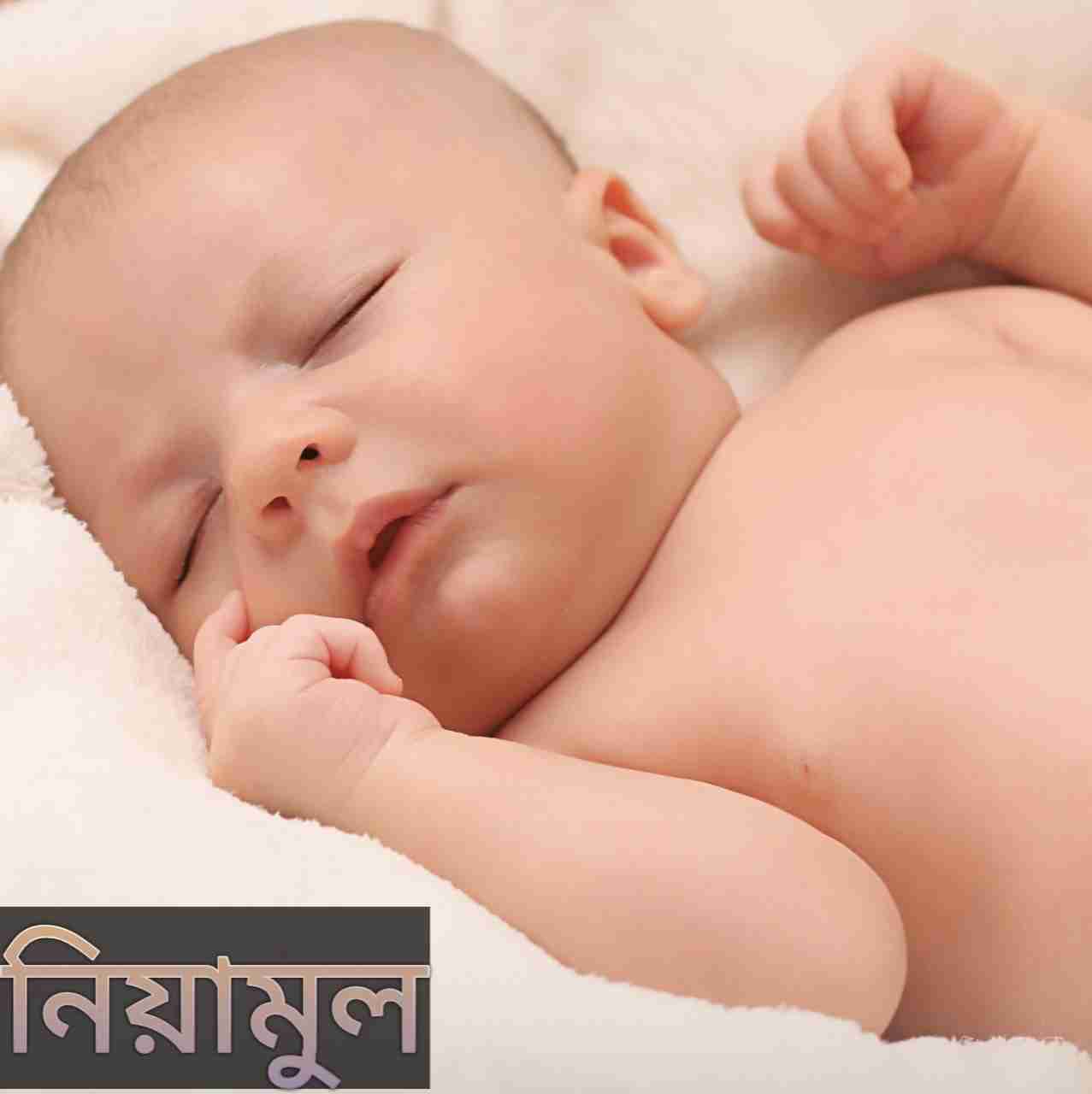 নিয়ামুল নামের অর্থ কি? Niyamul Name meaning in Bengali