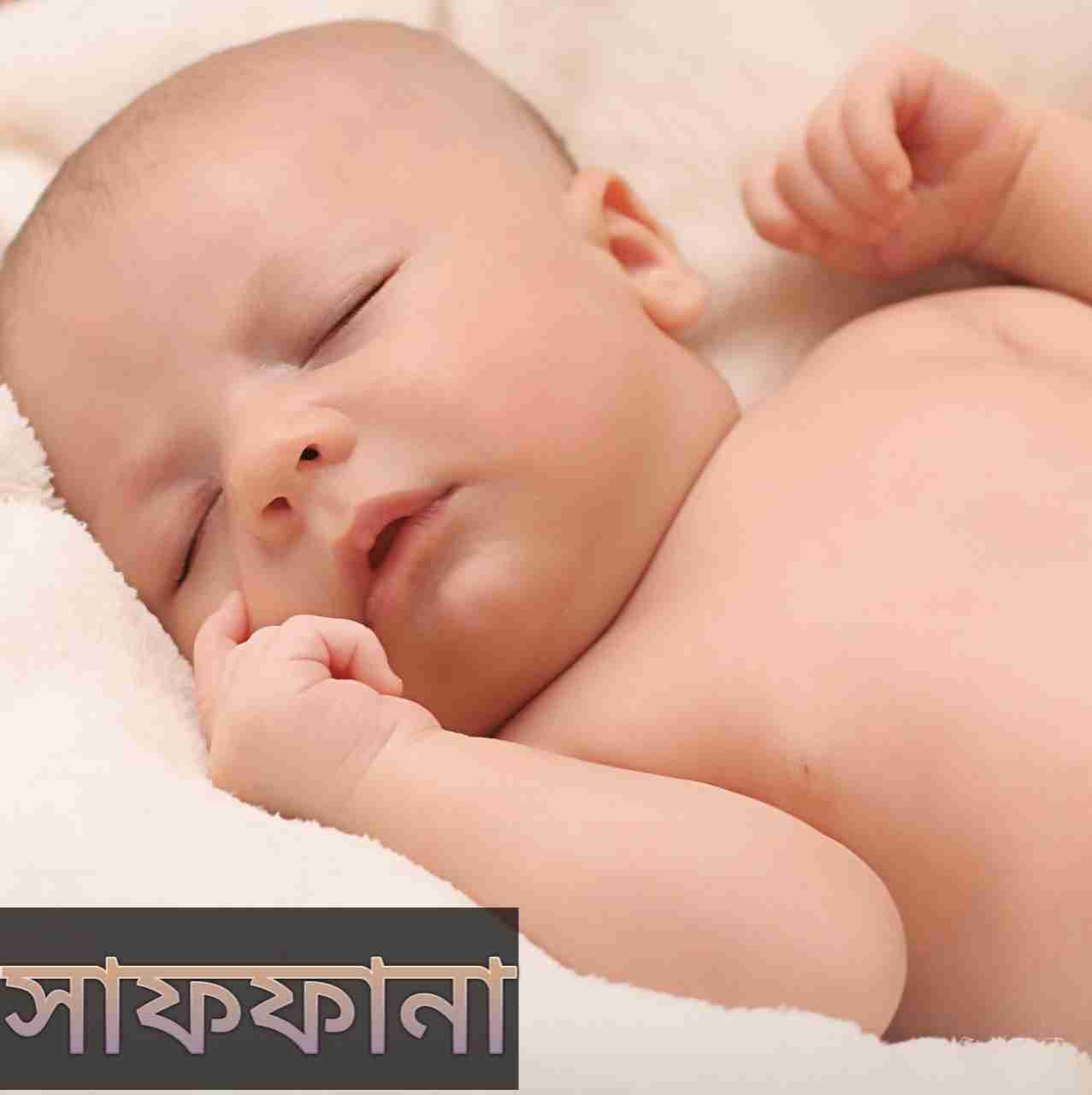 সাফফানা নামের অর্থ কি? Saffana Name meaning in Bengali